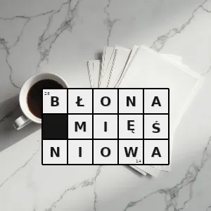 Hasło krzyżówkowe składająca się zwykle z mięśni gładkich część ściany wielu narządów ludzkiego organizmu ale także naczyń krwionośnych - błona mięśniowa – rozwiązanie, synonimy, podpowiedzi i definicje krzyżówkowe